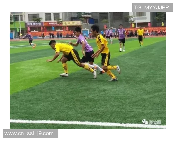 西班牙与荷兰对决现场球迷热情高涨共同见证足球盛宴